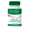 Pool de Lactobacillus Equilíbrio Intestinal e Saúde do Organismo 30 Cápsulas