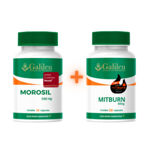 Kit Morosil 500mg e Mit Burn 50mg cápsulas suplemento frascos